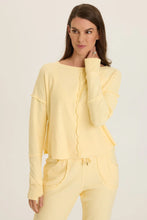 Load image into Gallery viewer, XCVI